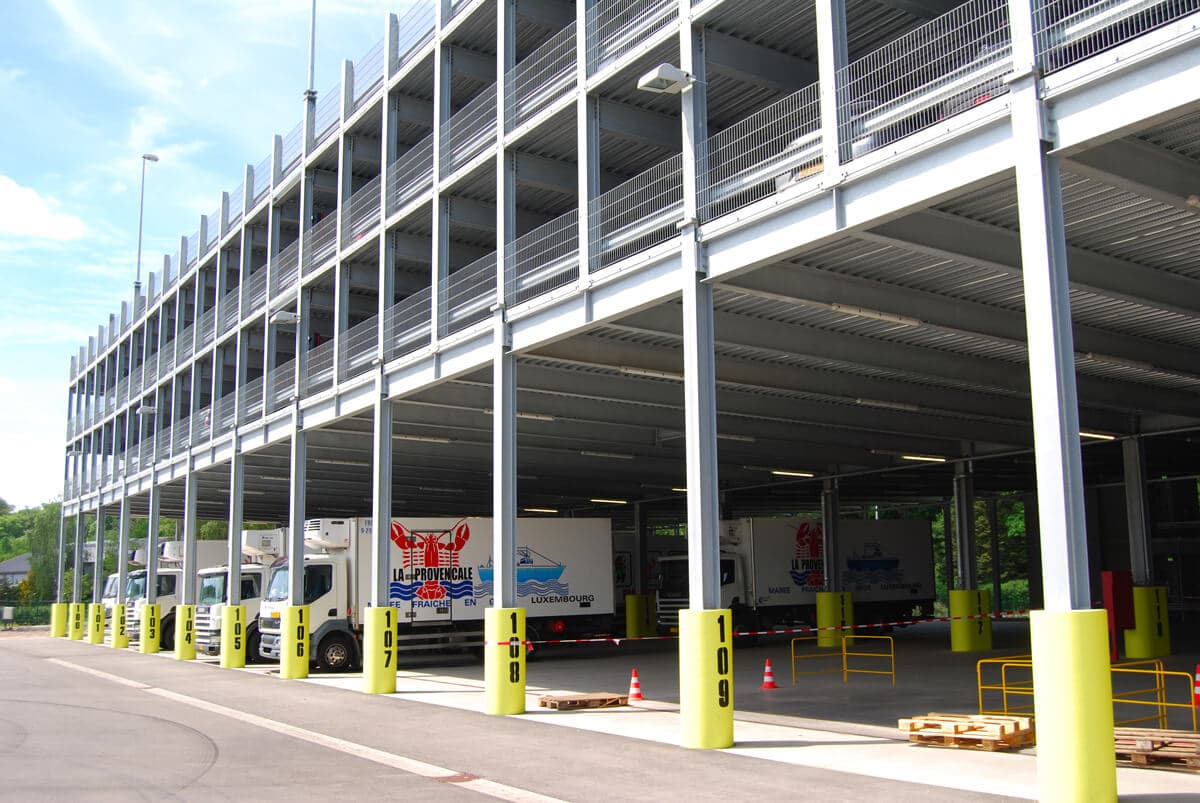 camions-bus-vans-01